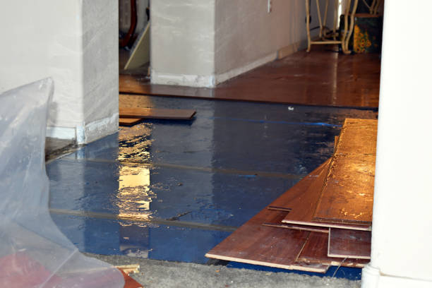 Professional Basement Flood Cleanup technician working in Gilbertsville, PA